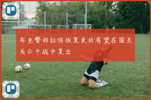 布克臀部拉伤恢复良好有望在国王或公牛战中复出