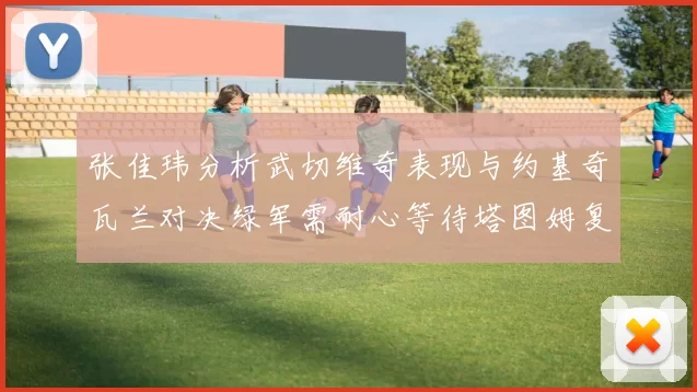 张佳玮分析武切维奇表现与约基奇瓦兰对决绿军需耐心等待塔图姆复出